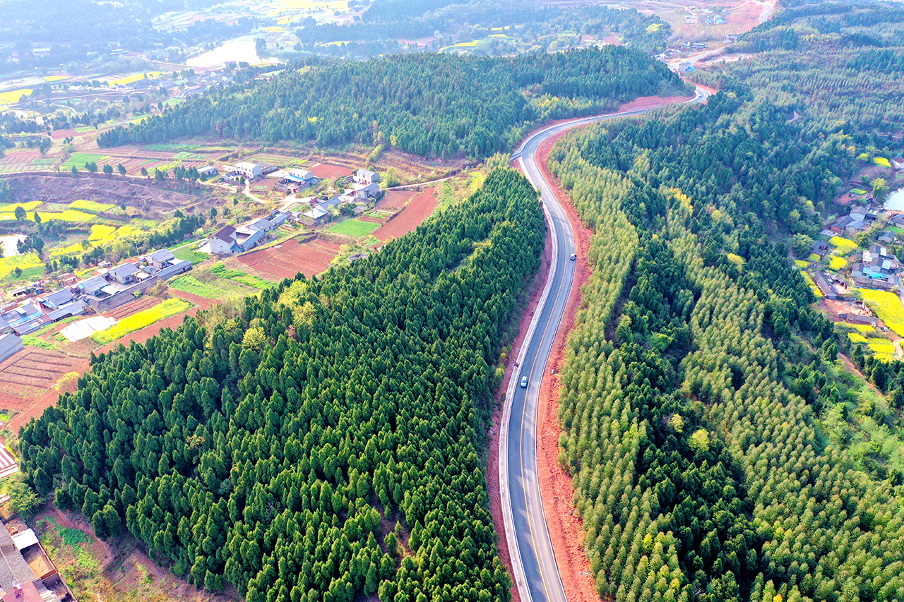羅新路.jpg